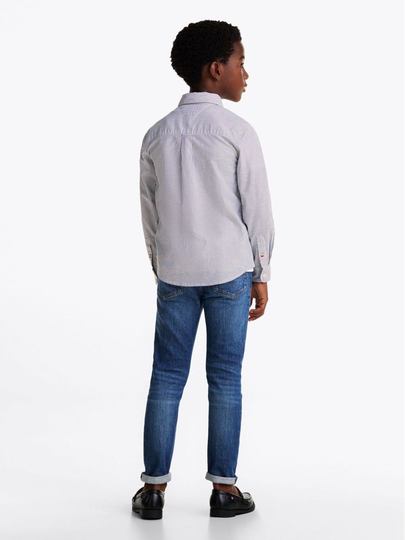 Camisa-Flex-con-rayas-Ithaca
